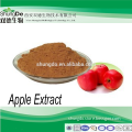 Natural free sample Apple Polyphenols / Phloretin /Apple Extract